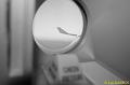 Winglet Airbus A330